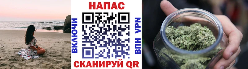 Купить закладки  Северобайкальск  Бошки марихуана индика 